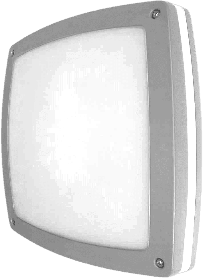 Kim Plafond